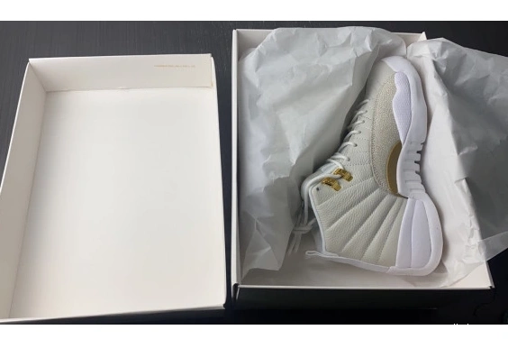 Jordan 873864-102 White Retro 873864-102 OVO 12 0619